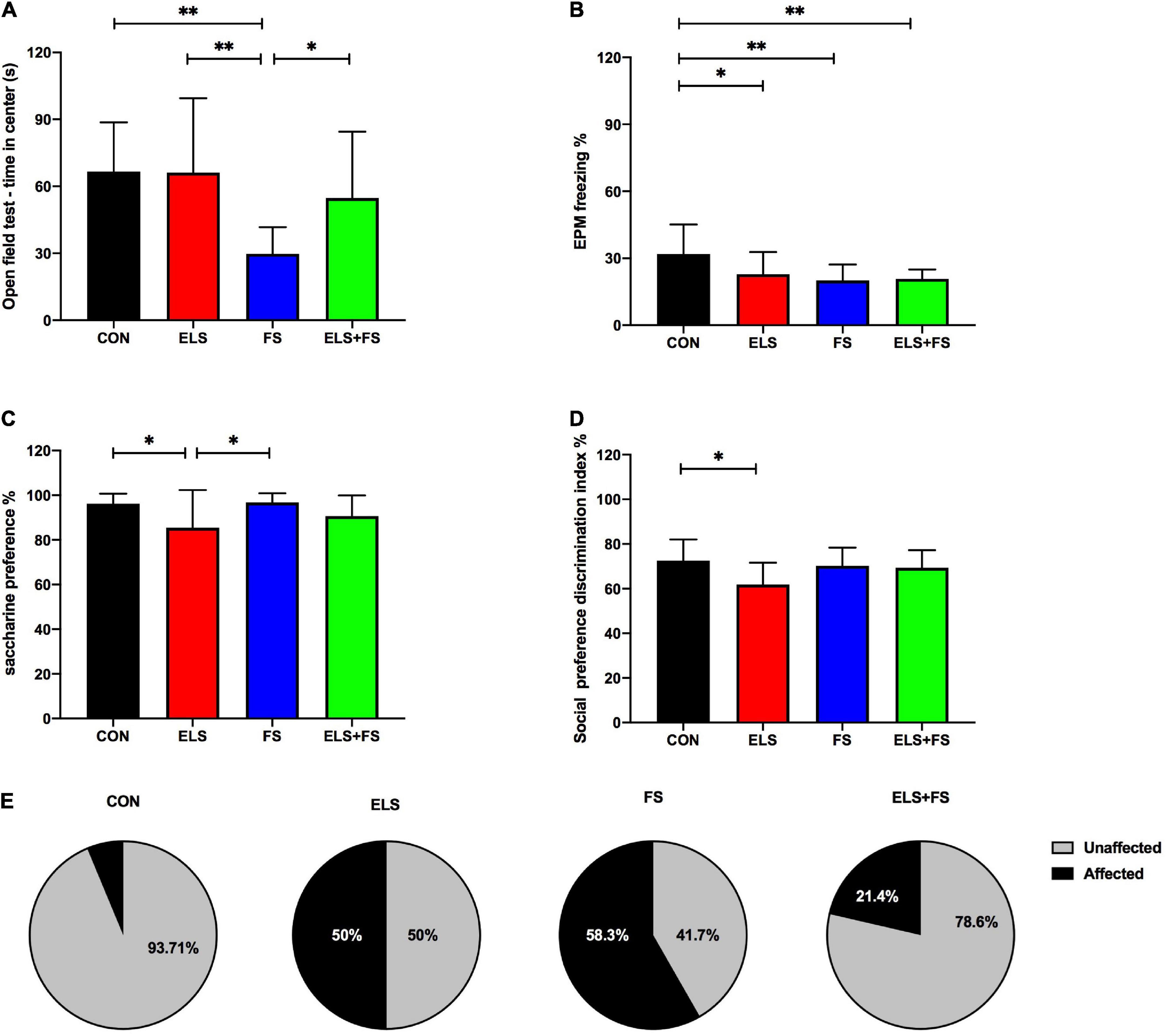 Epigenetic (re)programming of gene expression changes of CB1R and FAAH in the medial prefrontal cortex in response to early life and adolescence stress exposure